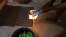 Natural Ripening Process of Bananas --- Just Watch & Try ...