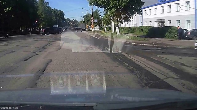 Big Moose jump over a car in russia : INSANE