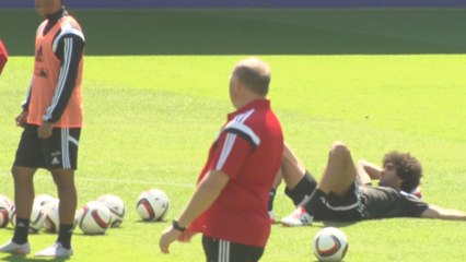 Marouane Fellaini ne jouera pas au Pays de Galles