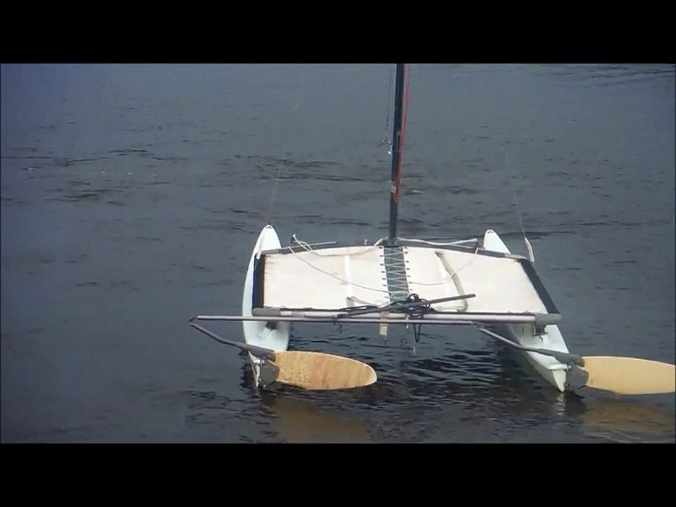 Manatees Rescue Baby Manatee!