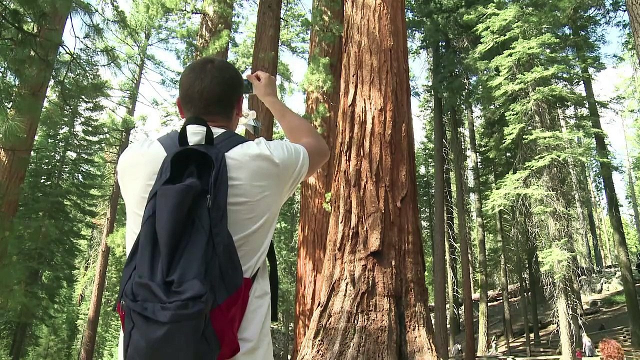 Rekord-Dürre bedroht Yosemite-Nationalpark