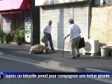 Le croque-mort et la tortue, une fable urbaine tokyoïte
