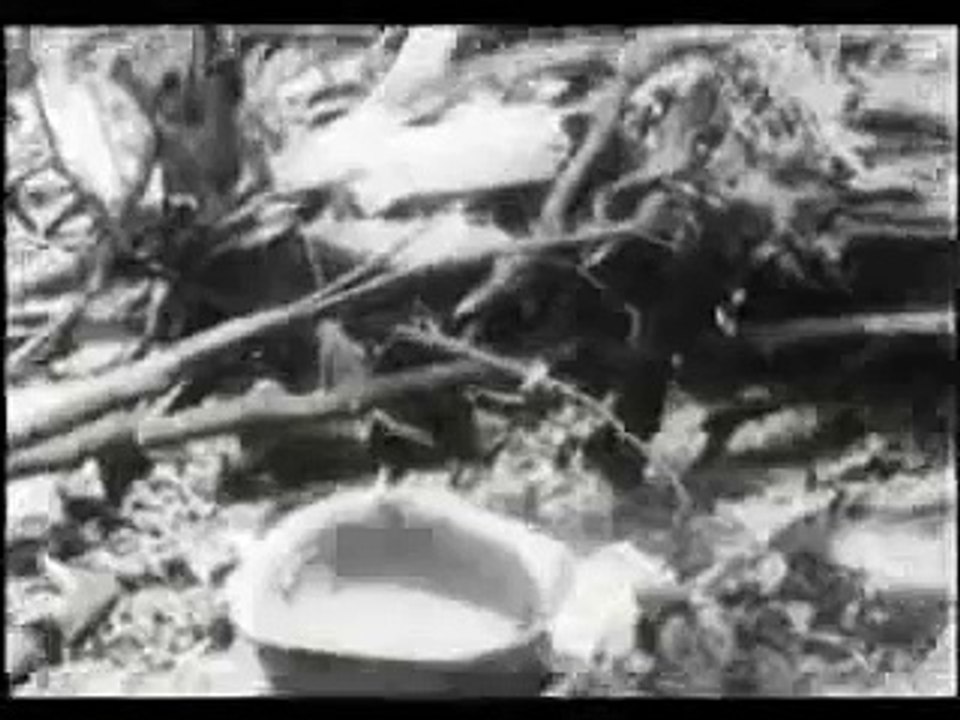 Dag Hammarskjöld is dead, crash site footage (1961)