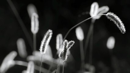 Human by Civil Twilight