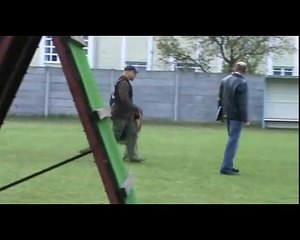 Grizly Wild Harted "Gomez" IPO1 engedelmes