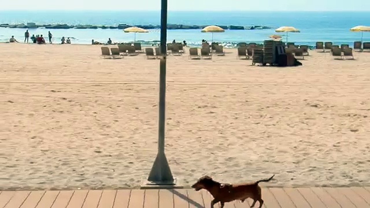 Ogilvy & Mather Europe pour Expedia - «Devenez aussi intéressant que vos voyages» - juin 2015 - Barcelone