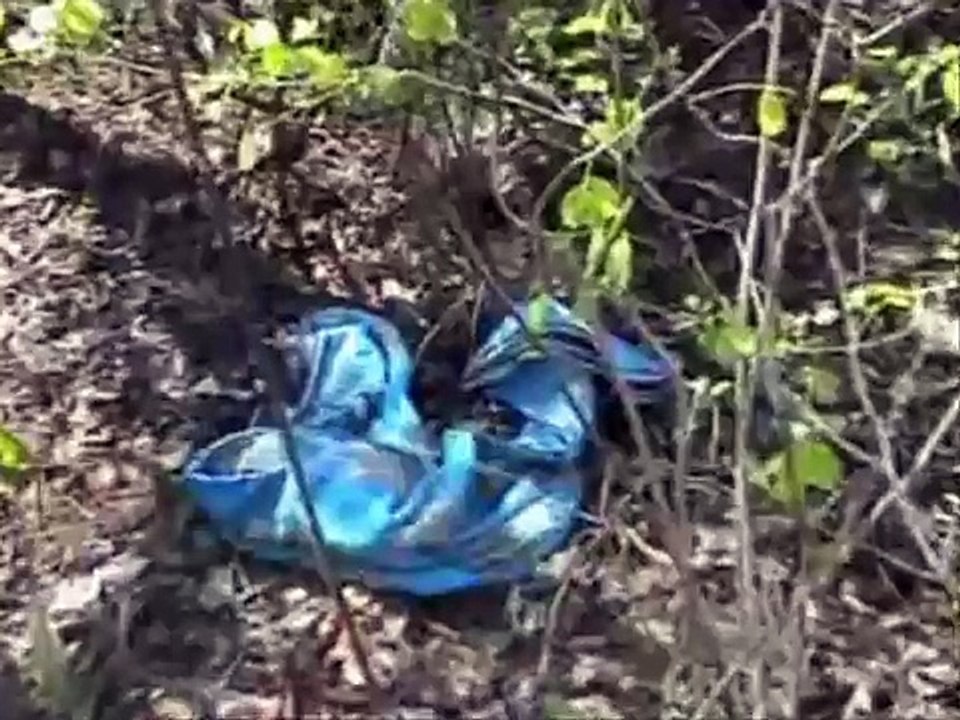 LTTE (Tamil) Child Soldiers - Human Rights