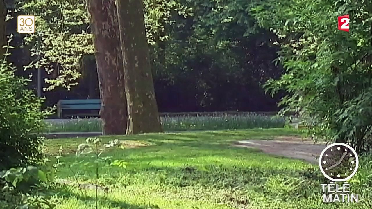 Allergies aux pollens : que faire ?