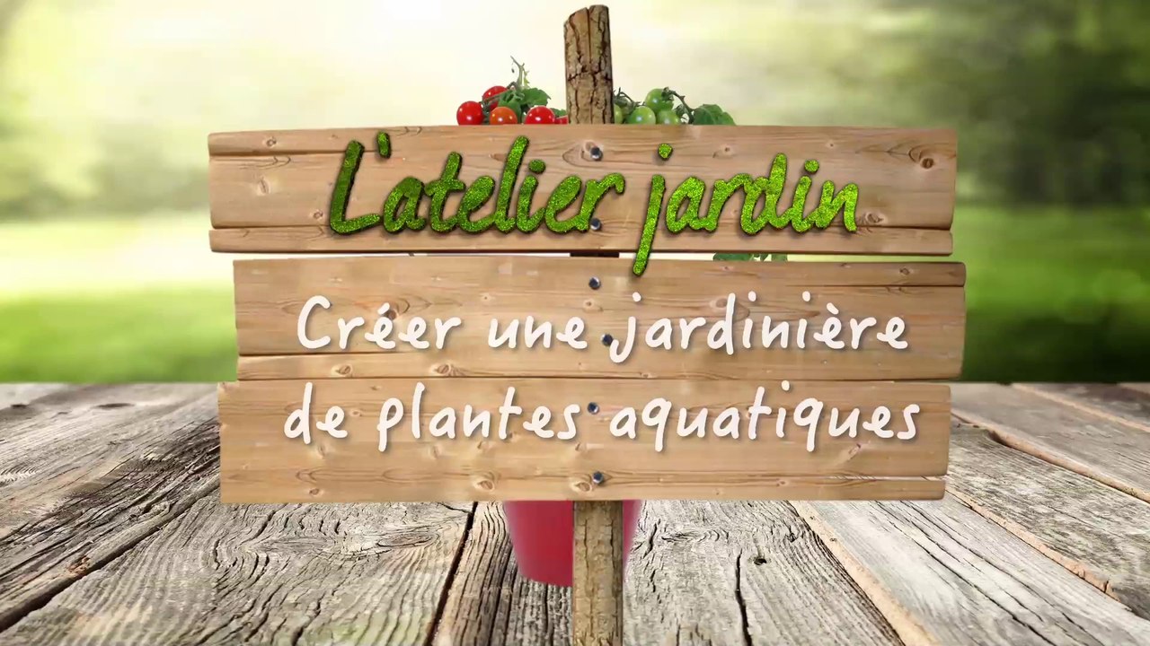 L'atelier jardin : comment créer une jardinière de plantes aquatiques ?