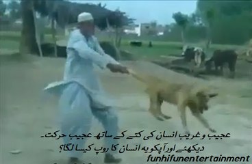Insanity with Animal (Dog), what will you call this person