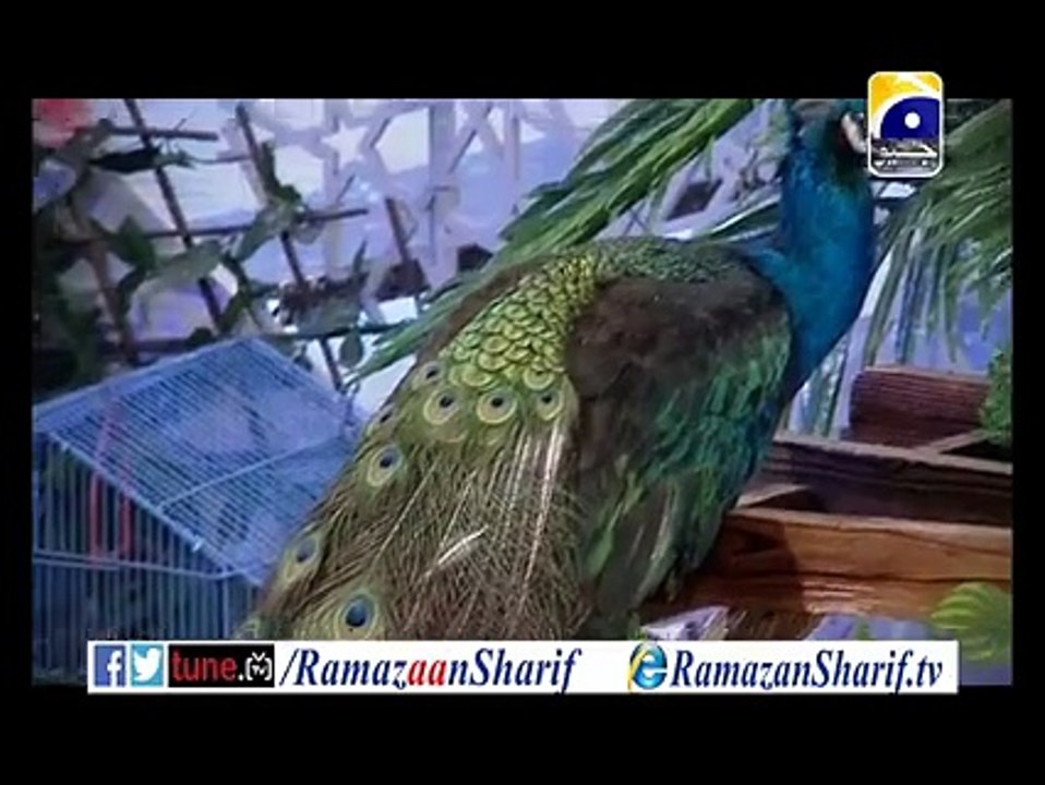 PROMO 2: Ramazan Sharif - رمضان شریف With Dr Aamir Liaquat hussaun  GEO TV 2015