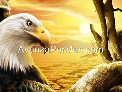 Aguilas Pescadoras Reflexiones cristianas Cortas