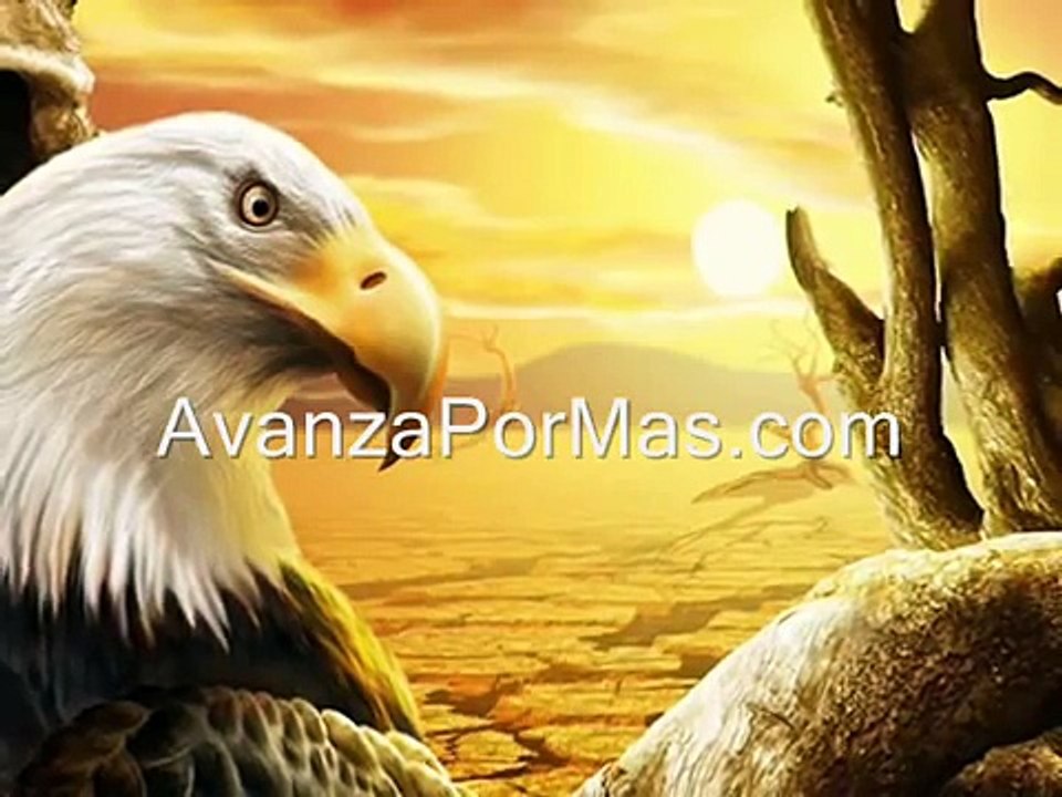 Aguilas Pescadoras Reflexiones cristianas Cortas