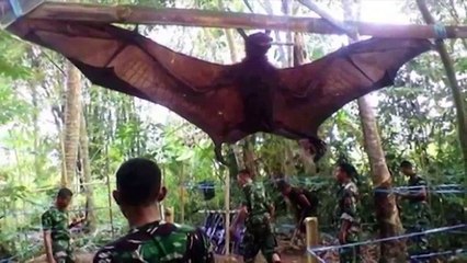 برما والوں پر  الله کا  عذاب