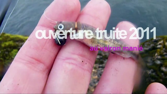 PECHE OUVERTURE TRUITE AU VAIRON EN GARONNE, CLIP N FISH