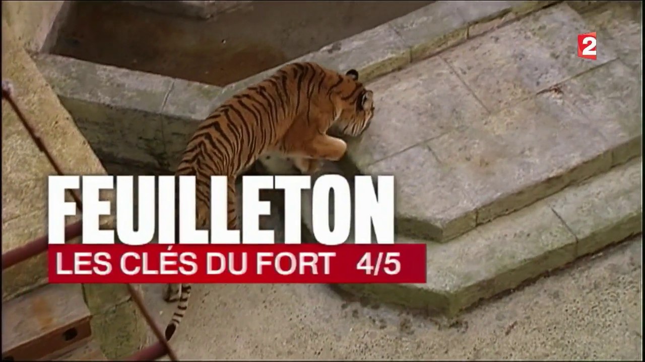 Fort Boyard 2015 : "Les clés du Fort" (feuilleton du 13h de France 2, épisode 4/5, 11 juin 2015)