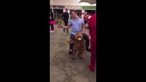 Un ours porte un homme.... Costume hilarant!