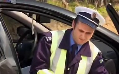 Sojic- Stojkovicu govedo jedno