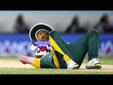 The Furred Umpire tries to revitalise South Africa's World Cup hopes...too late, Ted