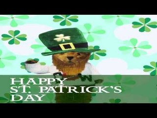 Happy St Patrick's Day from The Furred Umpire & Cricket World!