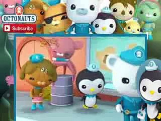 The Octonauts Cartoon 1x04 The Pirate Parrotfish