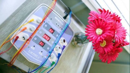 Head Pain Acupuncture In Redondo