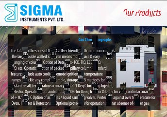 Flame Ionization Detector (FID)