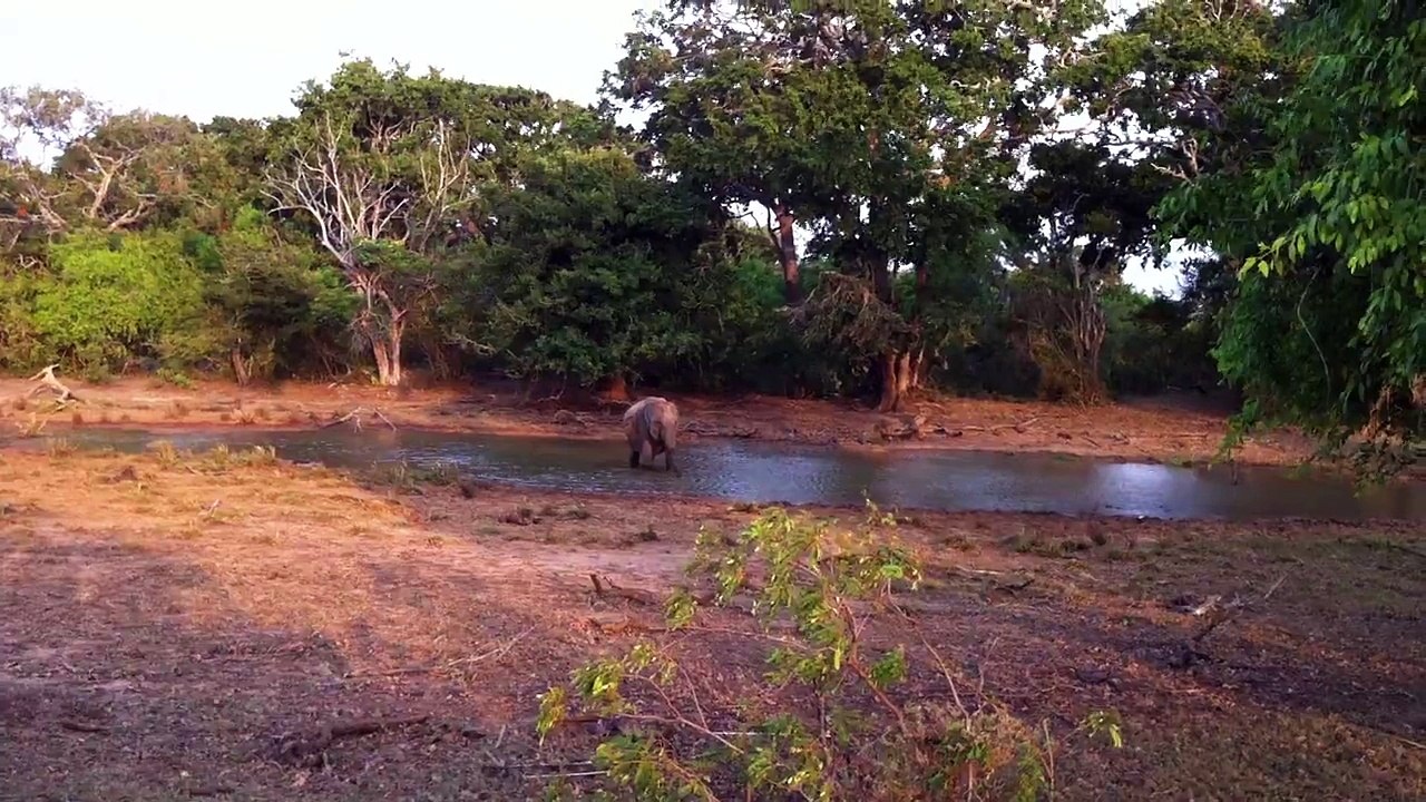 Coach Tour in Sri Lanka | Safari Tours Sri Lanka