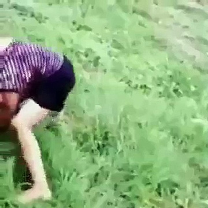Бои без правил