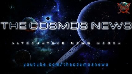 Black bear spotted lounging in hammock,Daytona Beach,Florida