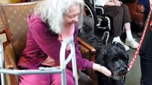 Pet Therapy Brings Smiles to Seniors