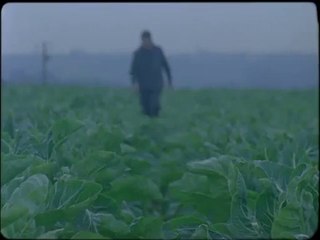 Fred & Farid Paris pour Biocoop - «La campagne éco-responsable» - juin 2015 - case study