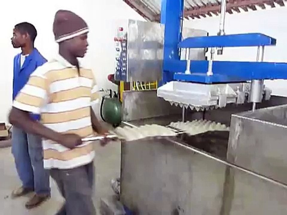 Machine pour plateaux d'oeufs alveoles pour oeufs par Carton Moulding China