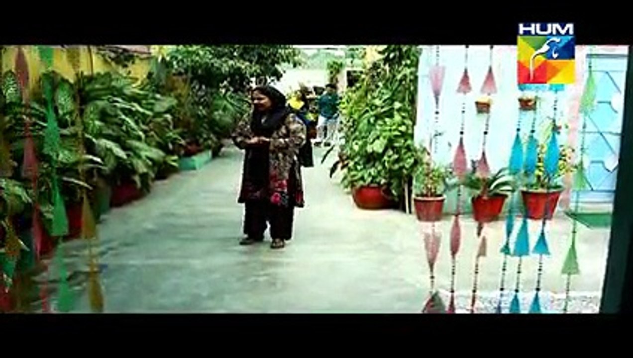 Assi Episode 36 Full High Quality HUM TV Drama 11 June 2015