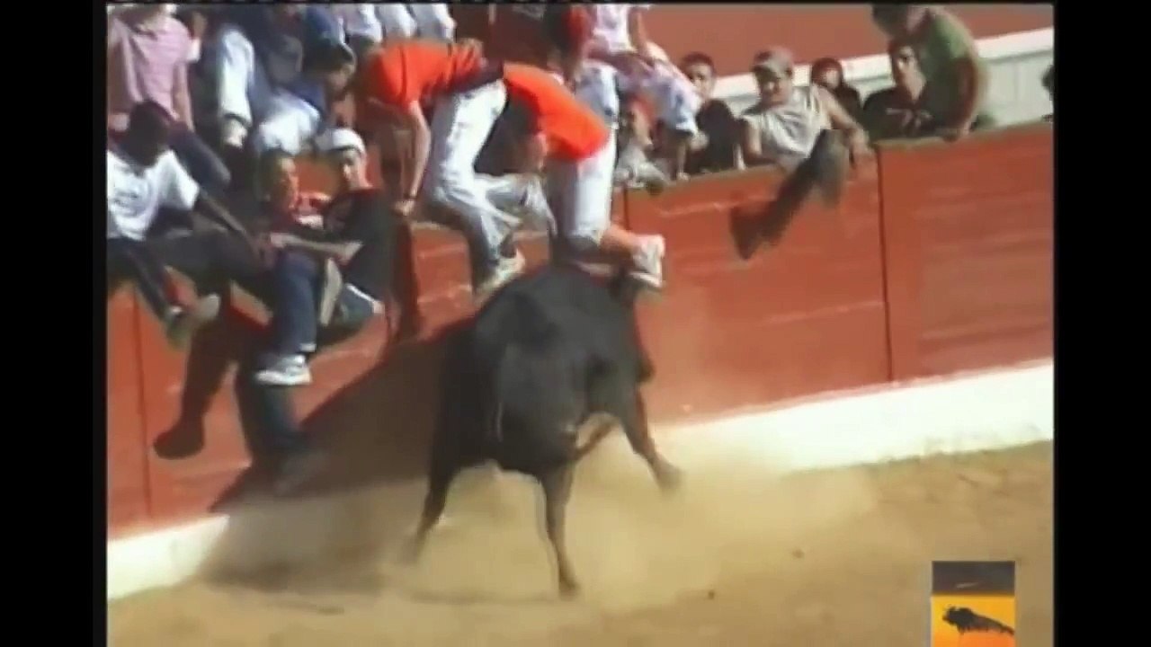 Cogidas de Toros 4 Videos de Toros Bravos