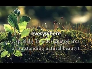 Closer to Nature - Far from the Truth