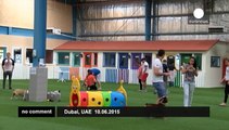 World's largest resort for dogs opens in Dubai