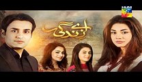 Aye Zindagi Episode 15 Promo on HUM TV - 11 June 2015