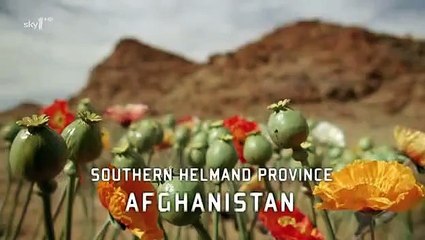 It's not a Game it's reality