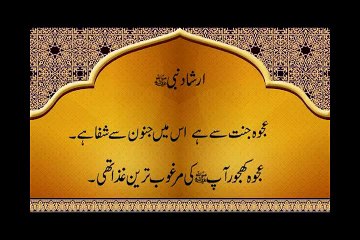 islamic shahed centre