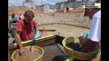 VIDEO (41) Des traces du Mésolithique découvertes à Blois