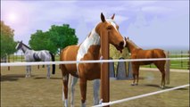 Sims 3 Horses/Pferde RIP Geronimo   Wichtige News