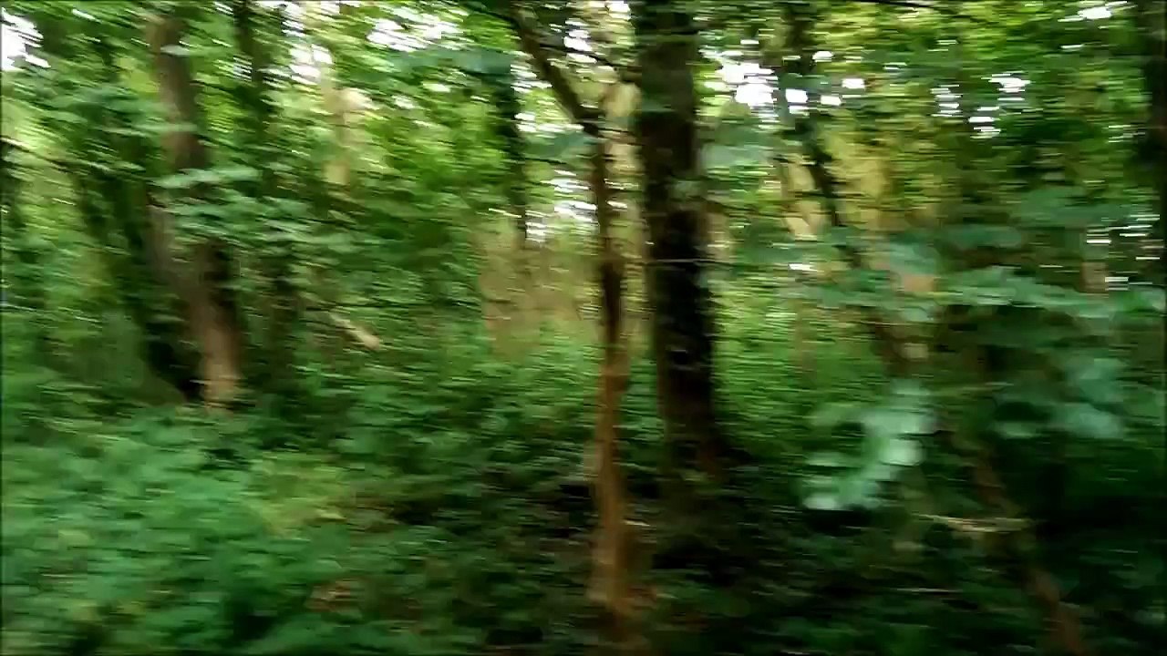 wild camping uk
