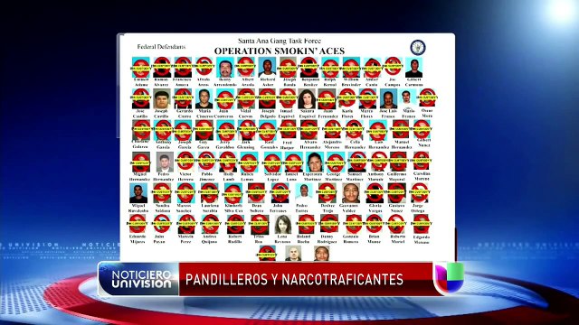 Pandillas de Los Ángeles aliadas con crimen organizado en México - Noticiero Univisión