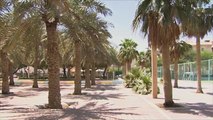 حملات تطوعية لتحويل الكويت إلى مساحات خضراء طبيعية