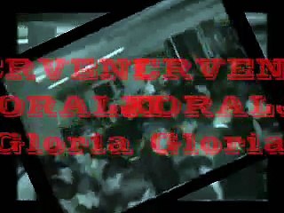 CRVENI KORALJI - Gloria (1966)