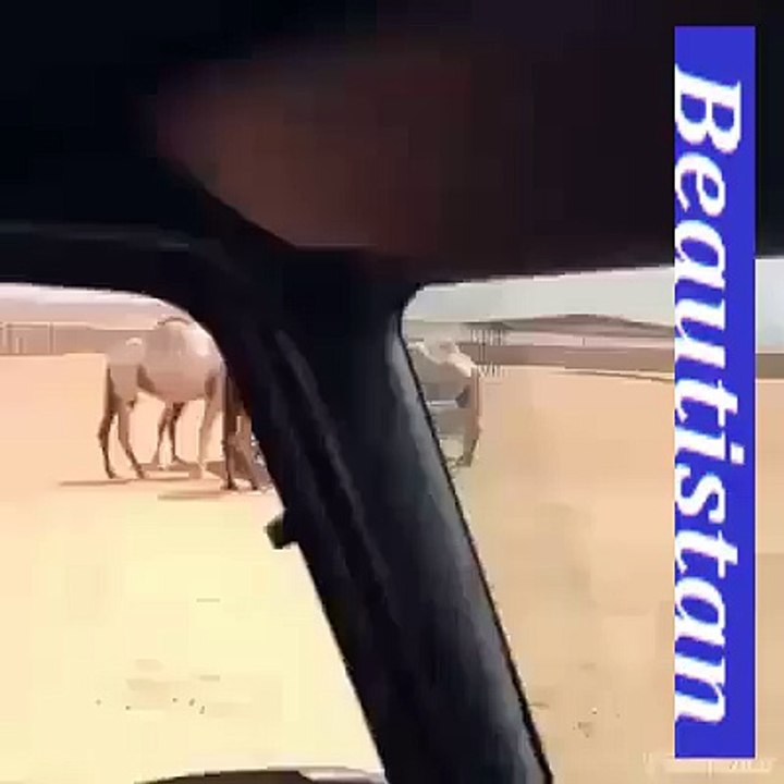 Karo MAZA