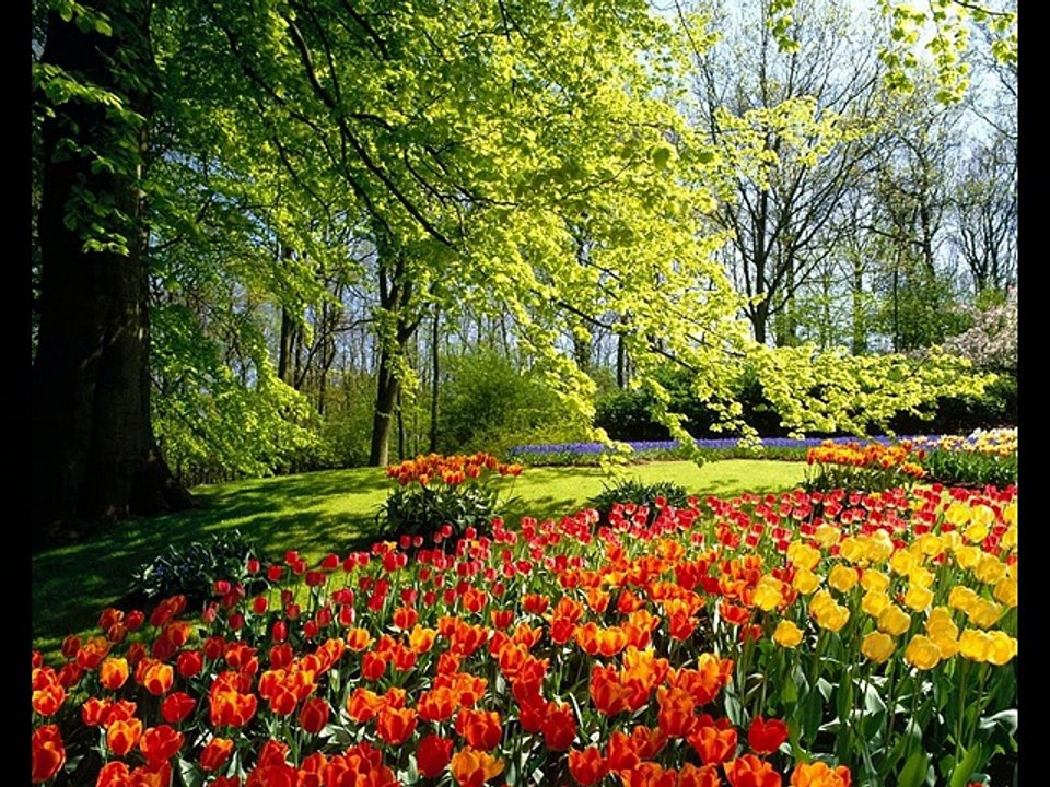 Orla Fallon - Down By Sally Gardens