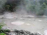 Hot Mud Pools, Taupo New Zealand.
