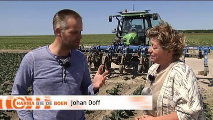 Het Weer: Harma bie de boer [11-6-2015] - RTV Noord